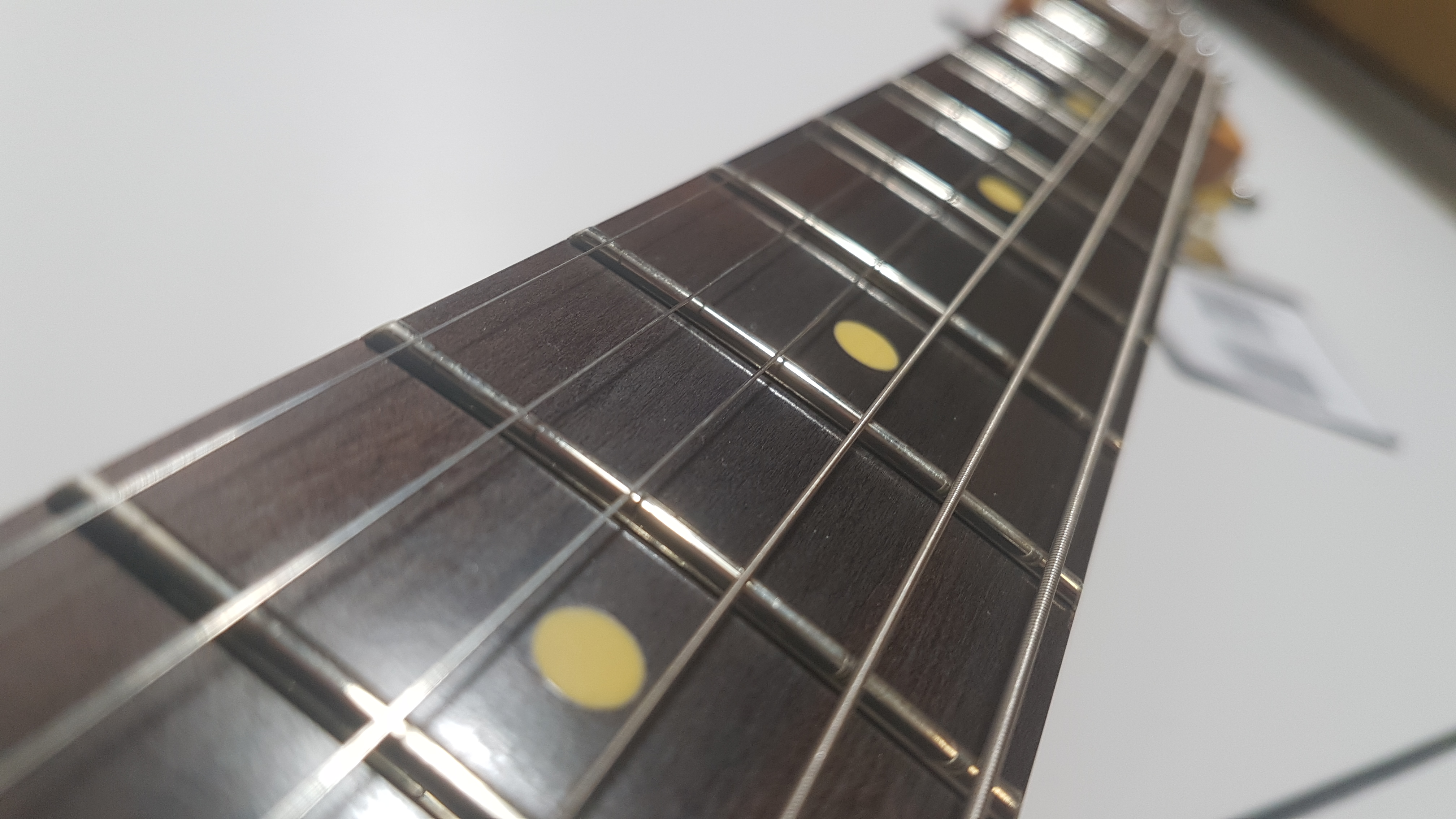 blackwood fretboard