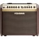 Fishman Loudbox Mini