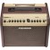 Fishman Loudbox Mini